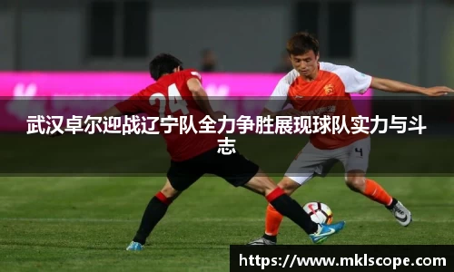 武汉卓尔迎战辽宁队全力争胜展现球队实力与斗志